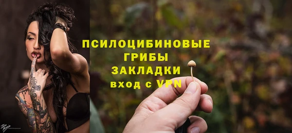 прущие грибы Арсеньев