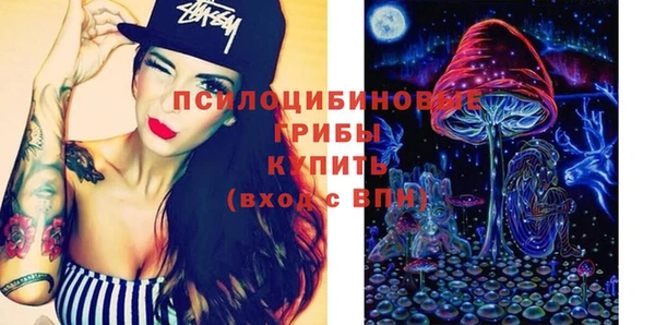 прущие грибы Арсеньев