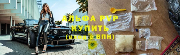прущие грибы Арсеньев