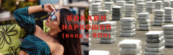 прущие грибы Арсеньев